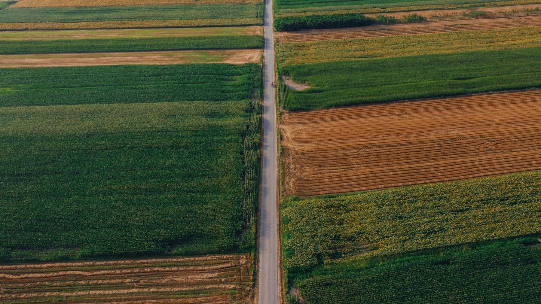 Agricultural fields aerial