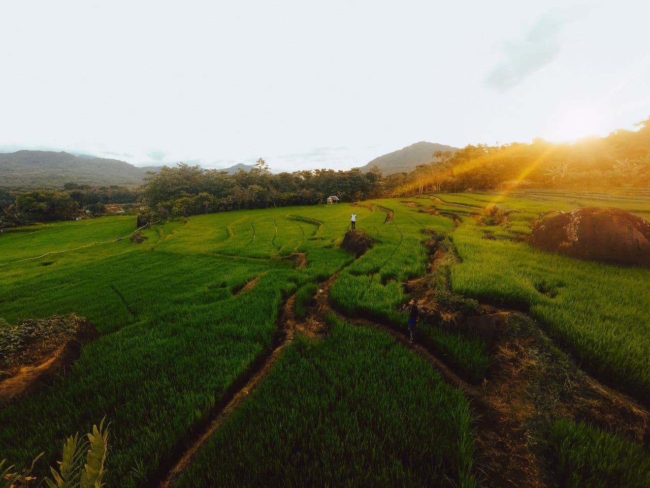 Campo de cultivo Ecoganic — fertilizantes orgánicos