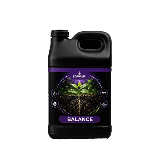 BALANCE 5-5-5 Líquido Soluble