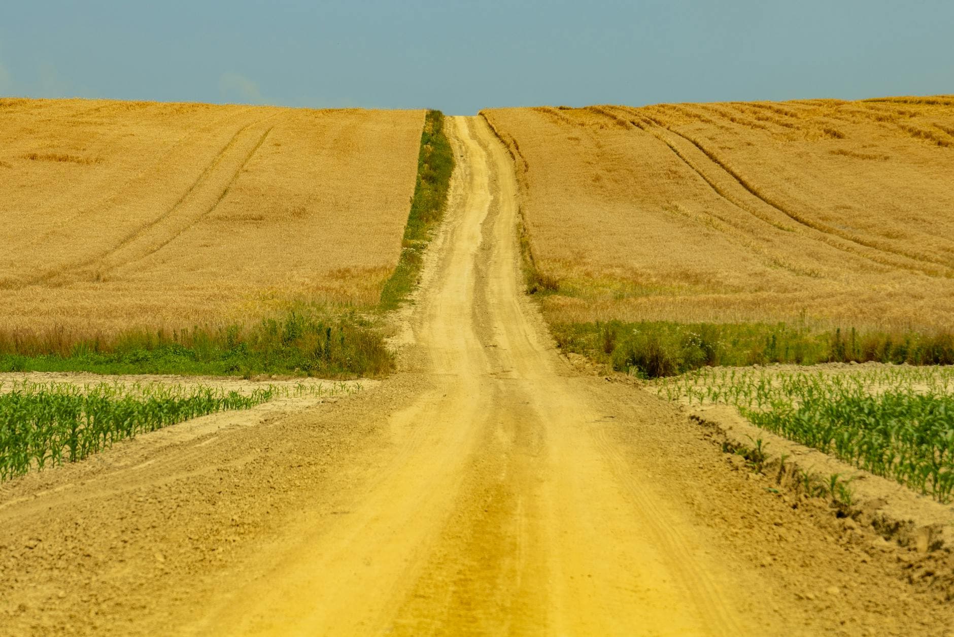 Beneficios de Bioestimulantes en Agricultura Europea