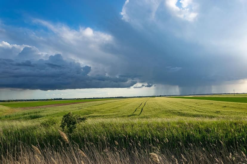 The Future of Fertilizers: Global Trends in Biofertilization in Europe