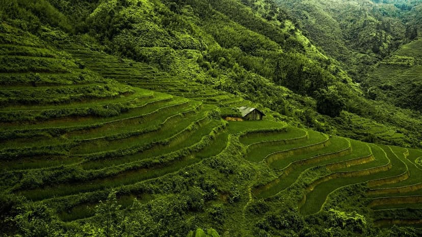 Stratégies pour mettre en œuvre une agriculture durable