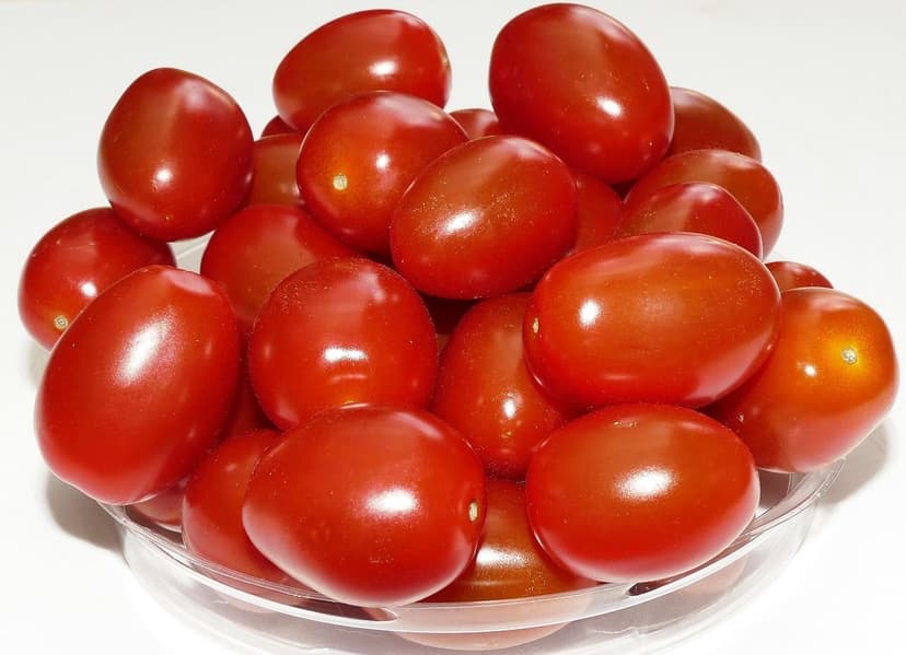 Effetto dei Biostimolanti sulla Coltivazione del Pomodoro