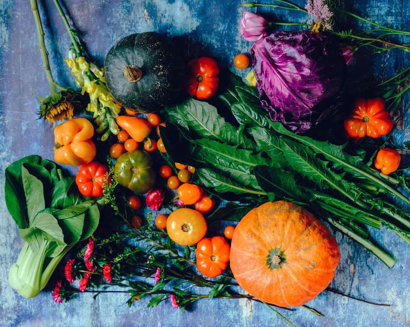 Integriertes Nematodenmanagement bei ökologischen Tomaten