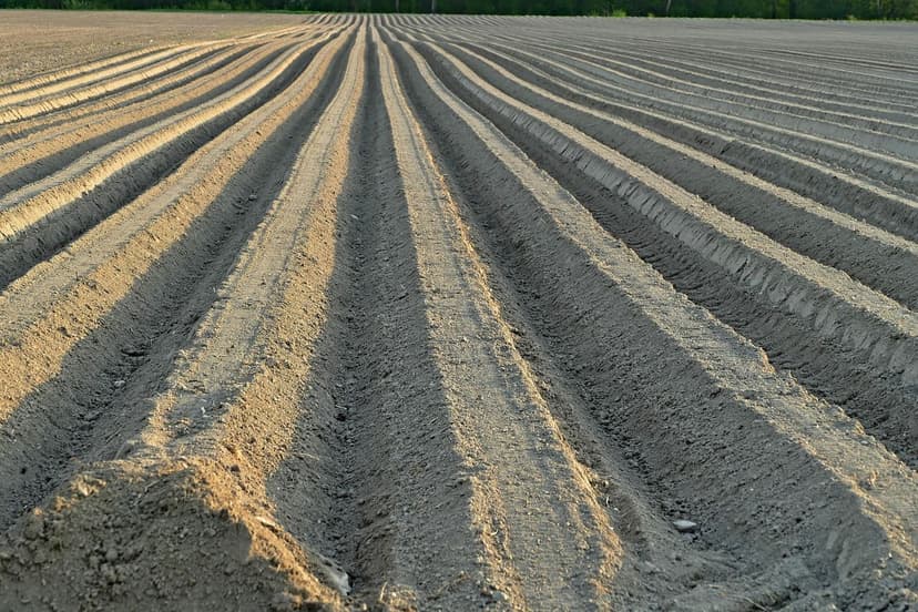 Microrganismi del suolo: migliorano la fertilità