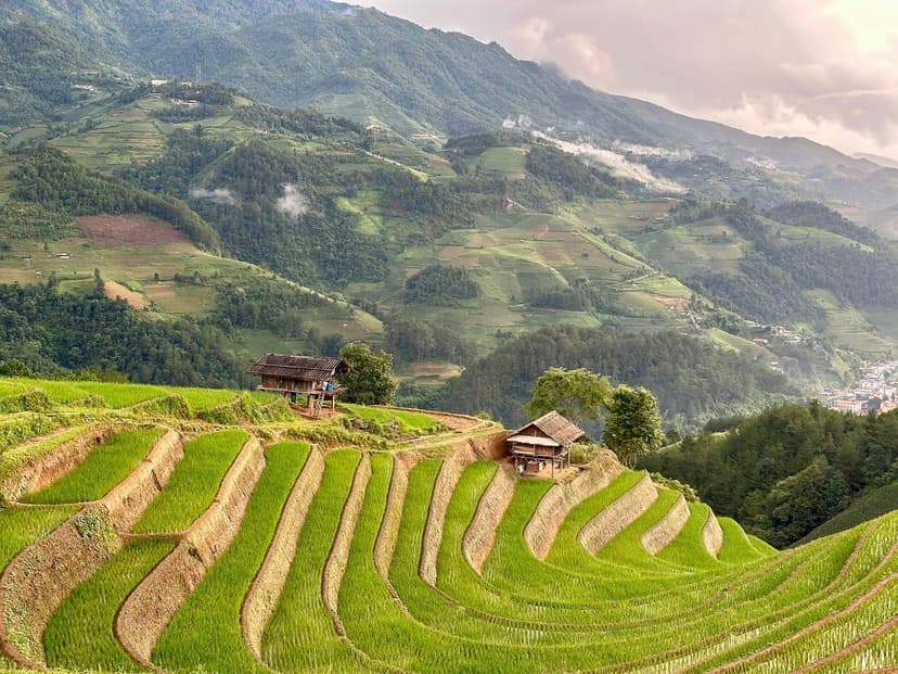 Azote Ammoniacal en Agriculture : Avantages et Application