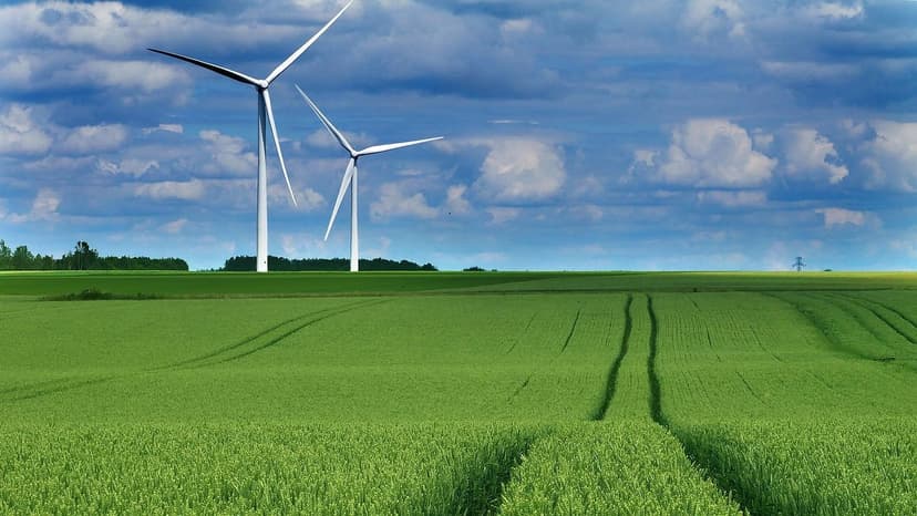 Ecoganic and the Sustainable Agriculture Revolution
