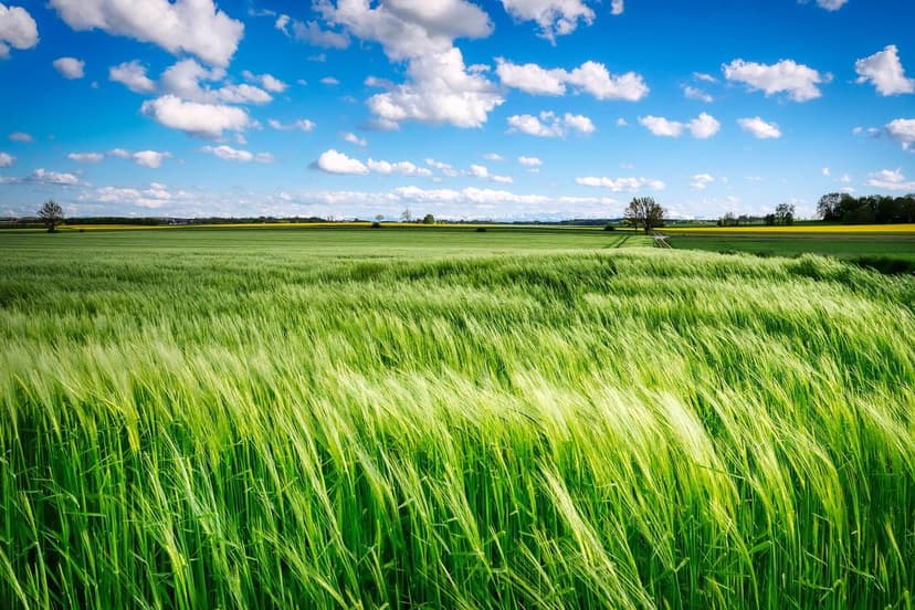 Azoto Ureico in Agricoltura: Vantaggi e Applicazione