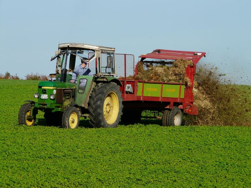Fertilisation azotée du poivron : Dose et application
