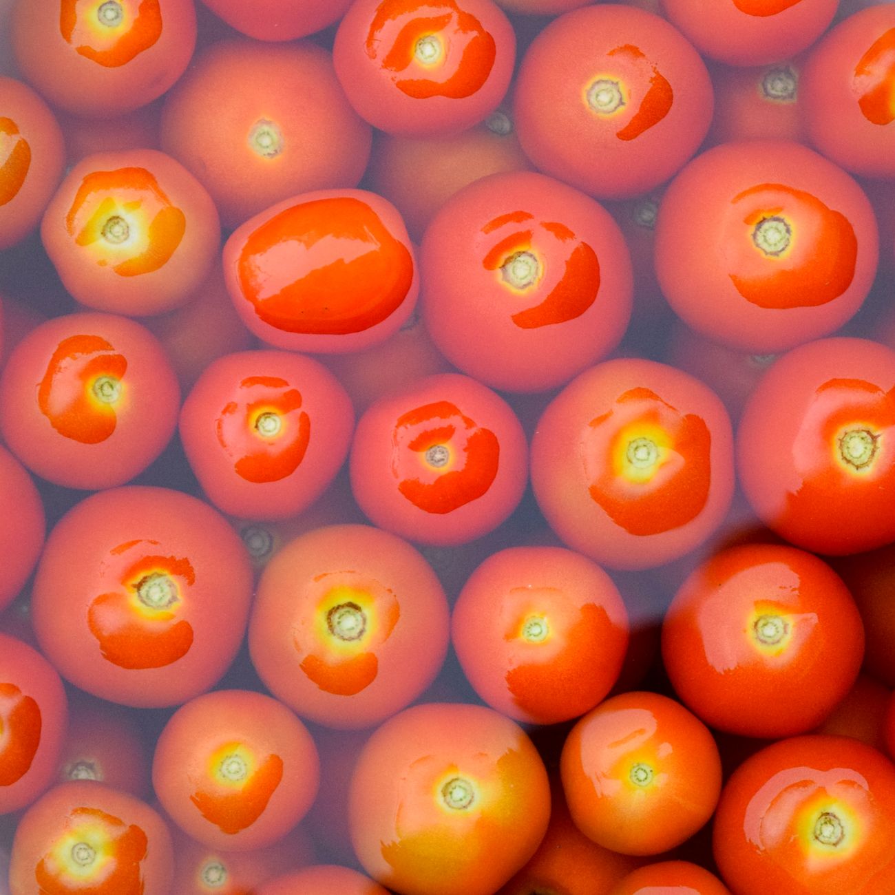 Mecanismos de acción: oxigenación, bioestimulación y protección