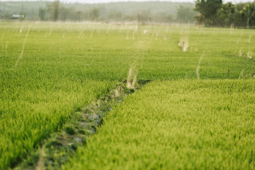 Microbiote du sol : des alliés invisibles