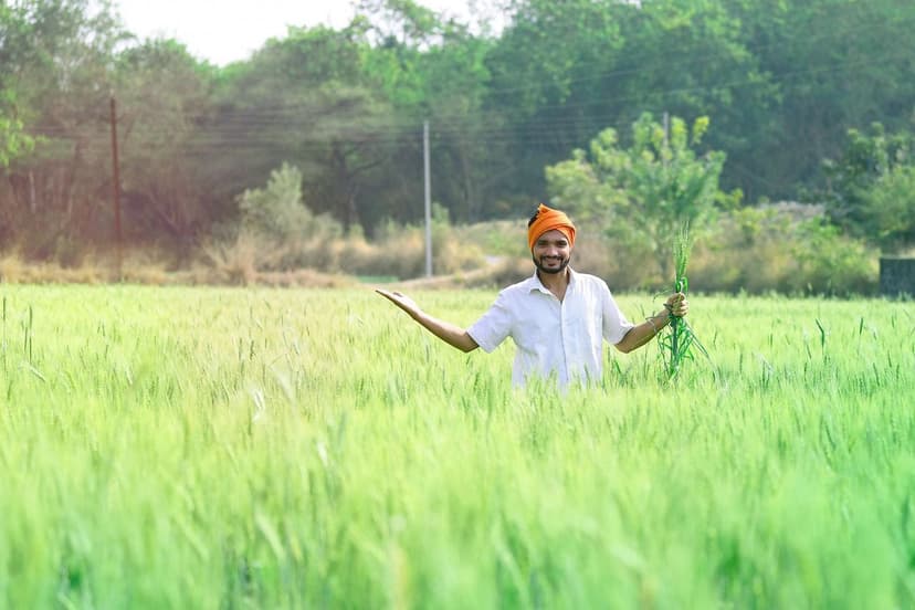 Biostimulants that Boost Production in European Crops