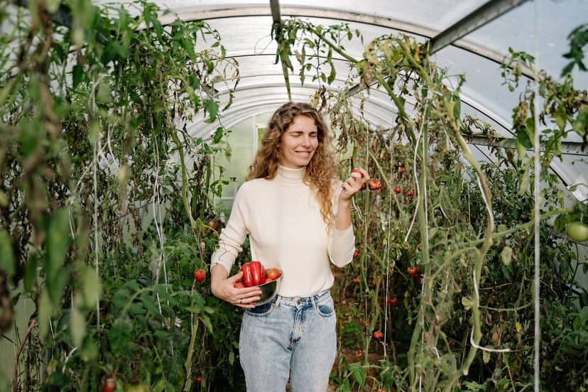 Die Bodenmikrobiologie: Motor der Tomatenernährung