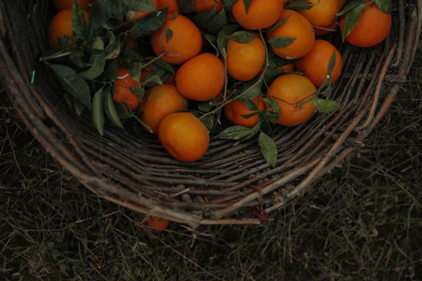 Come Correggere la Carenza di Azoto negli Agrumi