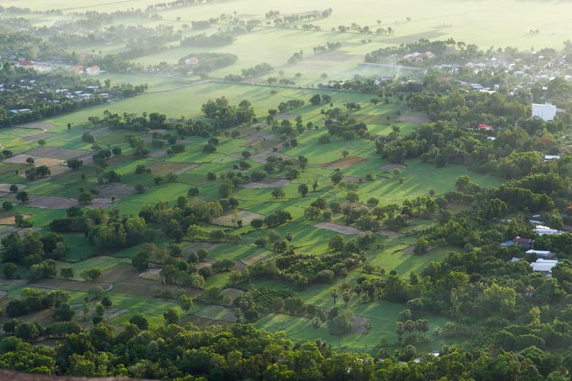 L'Ascesa dell'Agricoltura Sostenibile in America Latina: Opportunità e