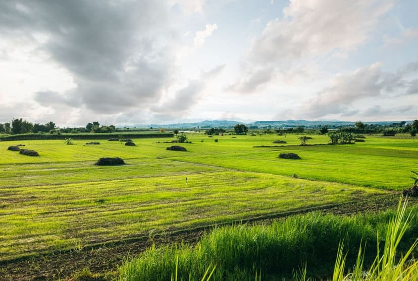 Organic matter and microbiota: a guide for distributors