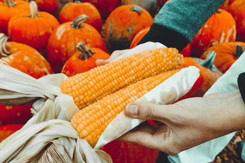 L'Ascesa dell'Alimentazione Biologica in Europa: Tendenze, Benefici e 