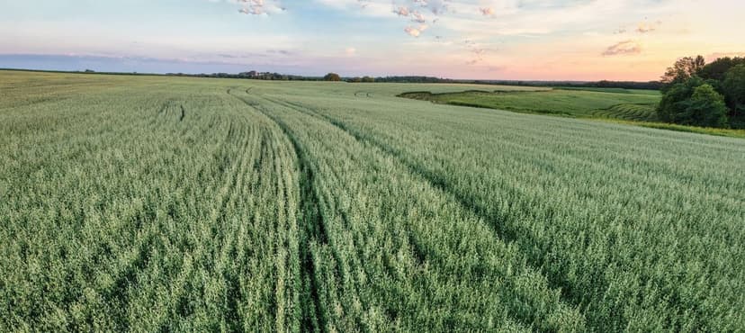 Matéria orgânica e microbiota: guia para distribuidores