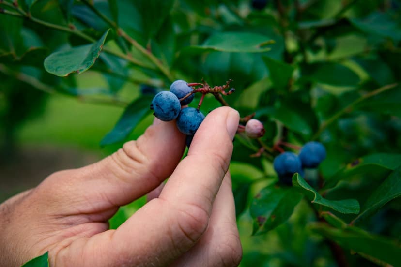Causas y factores de riesgo