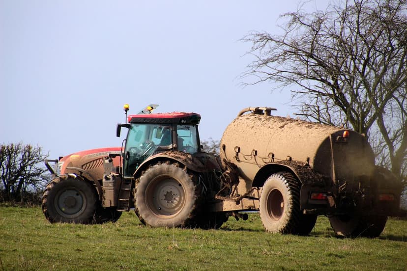 Guide Définitif des Engrais Organiques : Bénéfices, Utilisation et Cas