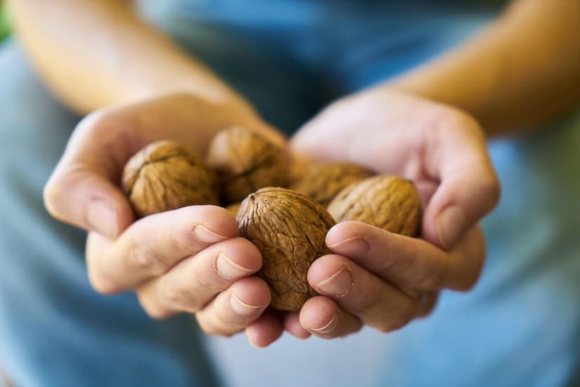 Come mantenere terreni ottimali per le colture