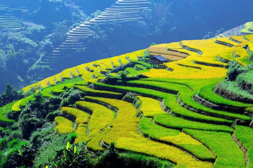 Nitrogênio Nítrico na Agricultura: Vantagens e Aplicação