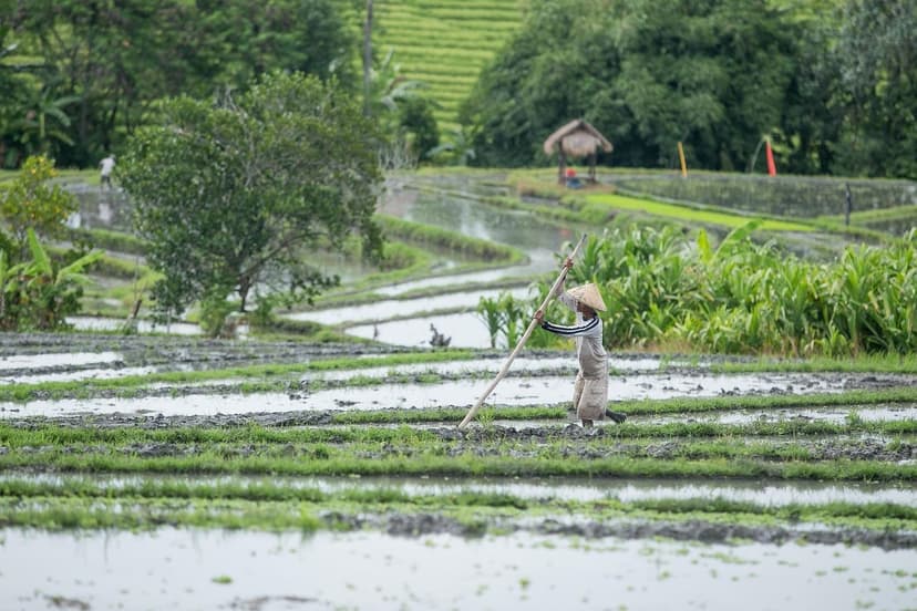 Agricultural Biostimulants: What They Are and How They Work