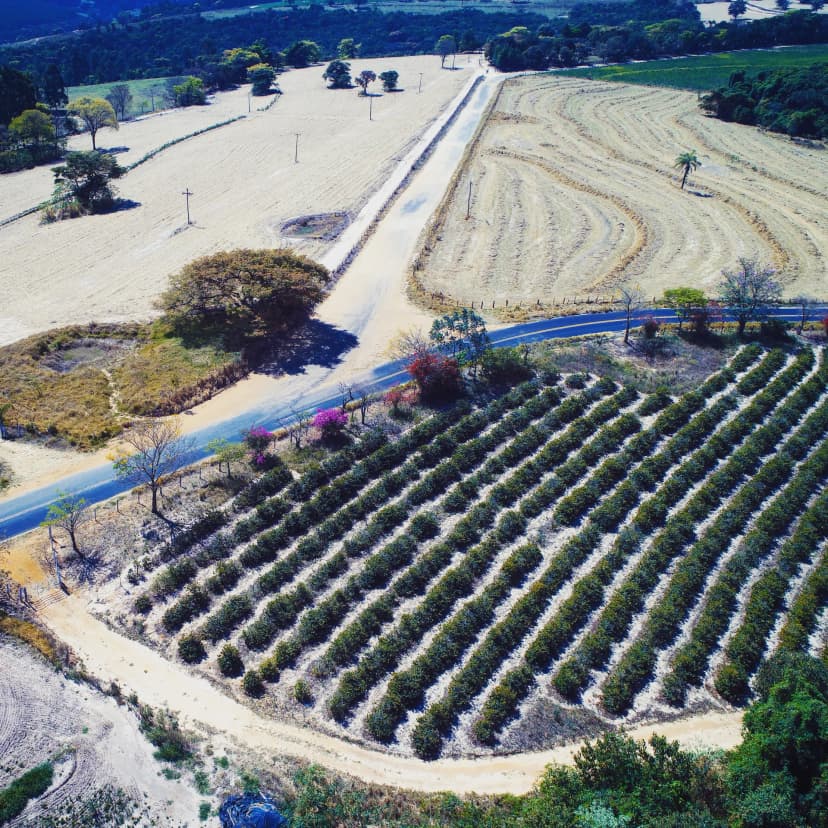 Manejo agronómico integral del estrés hídrico