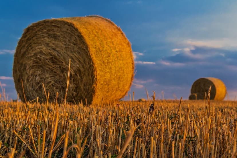 Soluções Agrícolas: Um Caminho para a Sustentabilidade