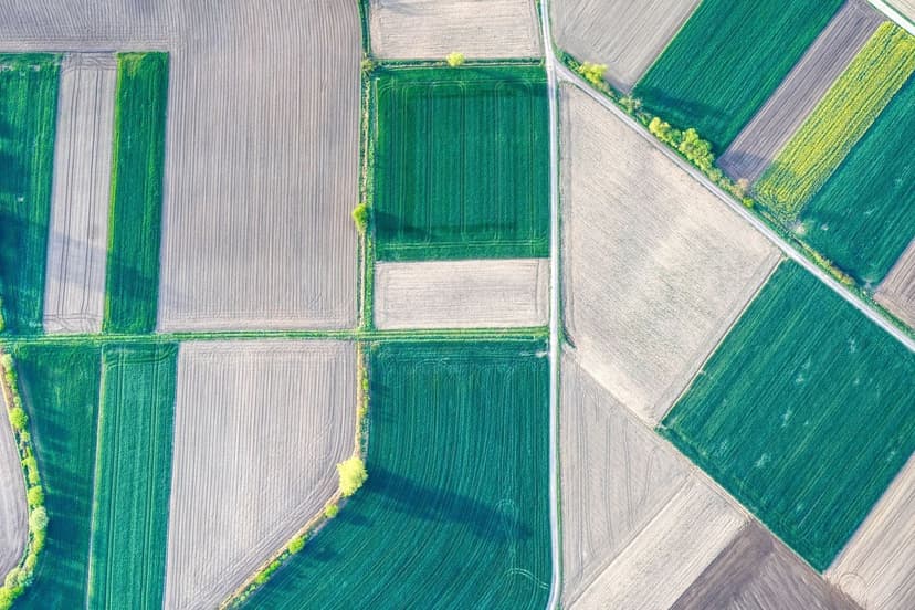 Engrais agricoles Malaga : guide complet 2026