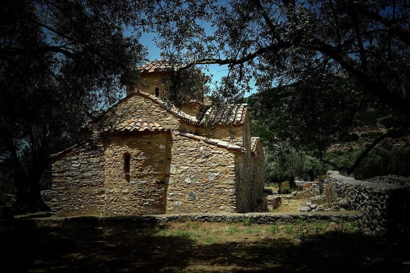 Nitrogen Fertilization in Olive Trees: Key Dosage and Timing