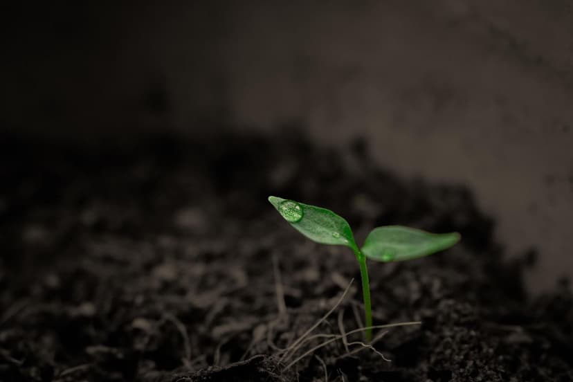 Soil Improvement with Bioprotectants in Crops