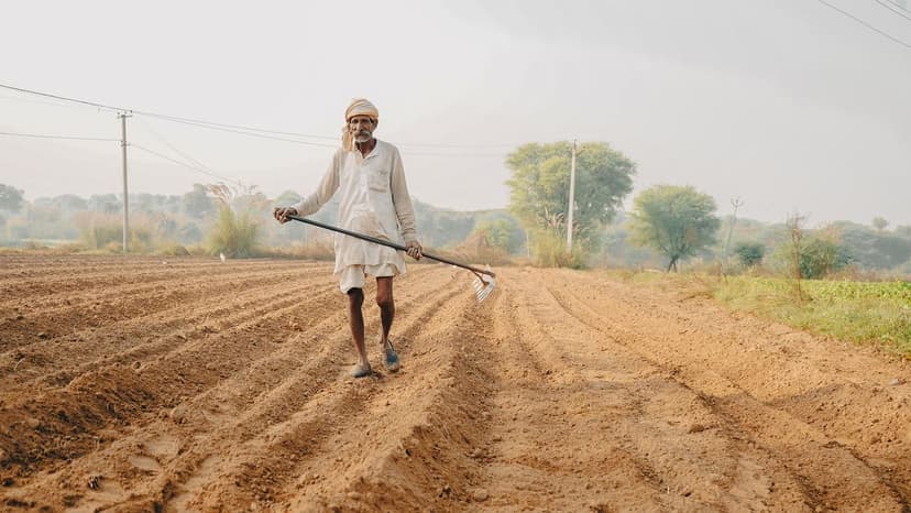 Protégez votre récolte et nourrissez votre terre : La révolution des p