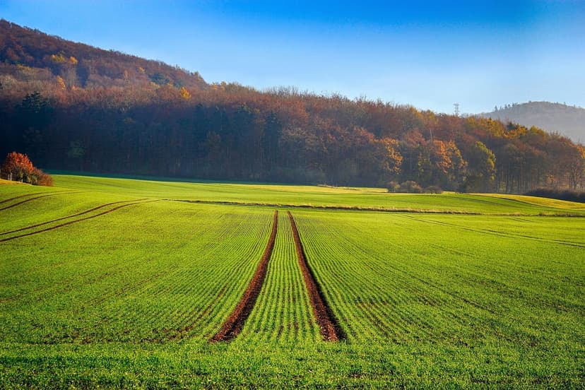 Biostimulanzien für nachhaltige Landwirtschaft in Lateinamerika