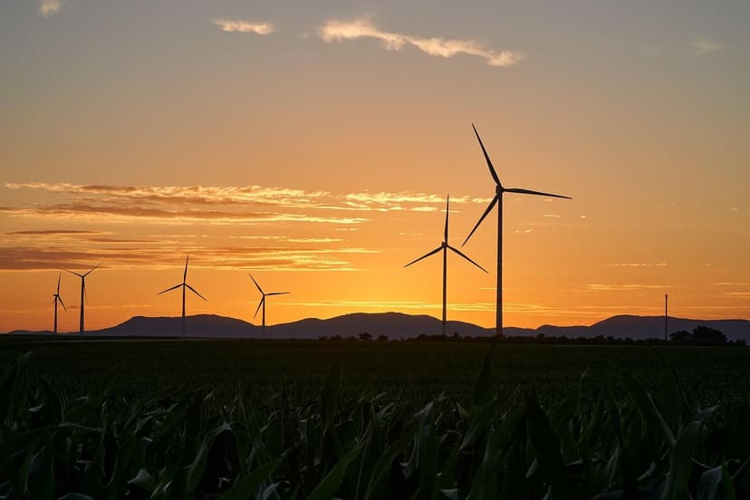 Ecoganic et la Révolution de l'Agriculture Durable