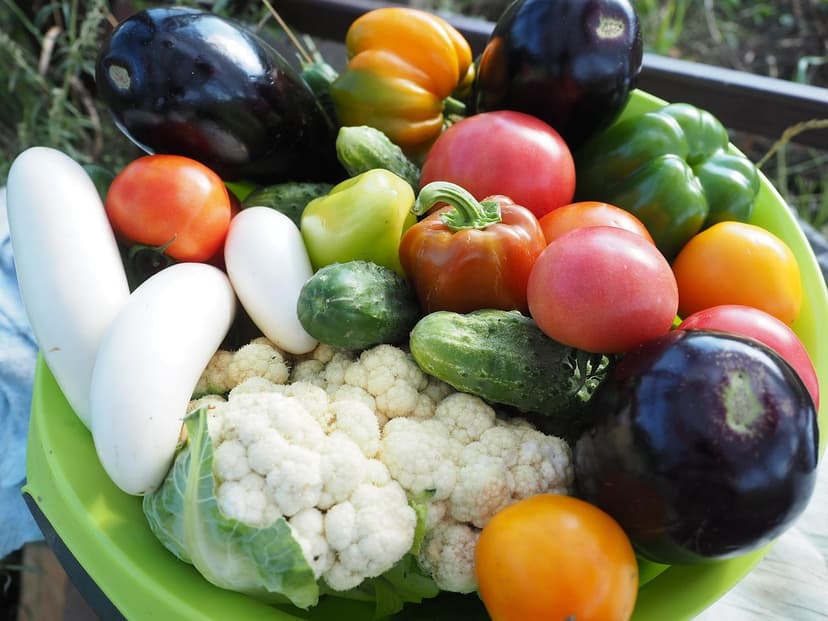 Comment Corriger la Carence en Azote chez la Tomate