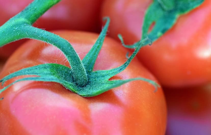 How to Correct Nitrogen Deficiency in Tomato