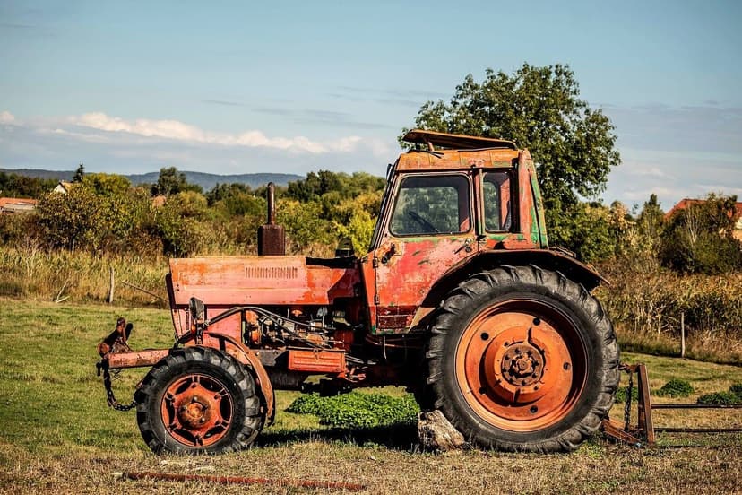 Azote à Libération Lente en Agriculture : Avantages