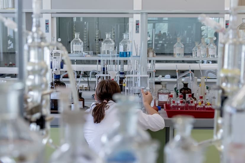 Unicellular Microalgae vs. Seaweed in Biostimulants: Real Differences