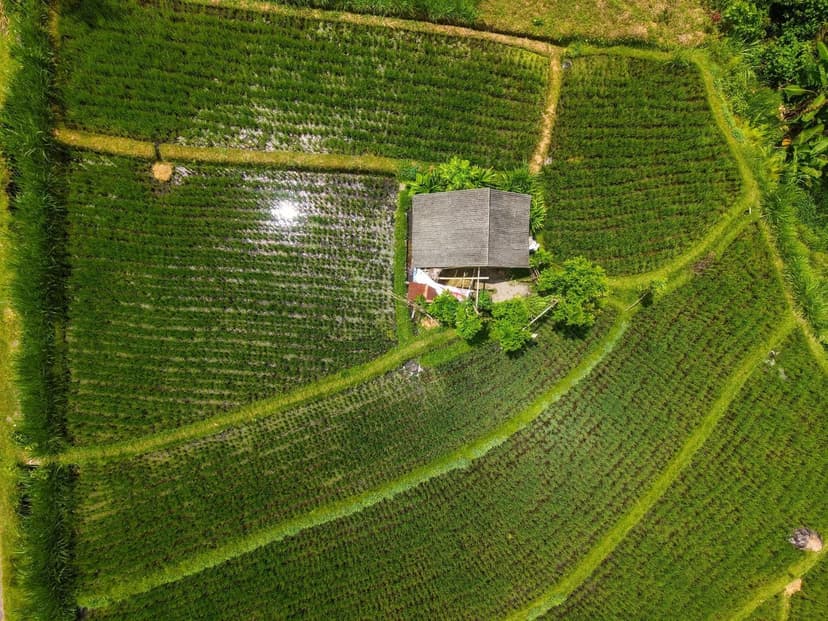 Landwirtschaftliche Düngemittel Málaga: vollständiger Leitfaden 2026