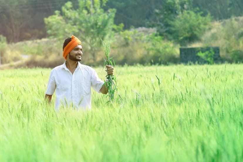 Biostimulants to Improve the Quality of European Crops