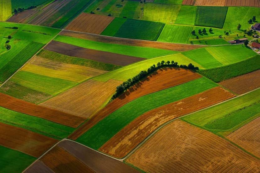 Ecoganic and the Sustainable Agriculture Revolution