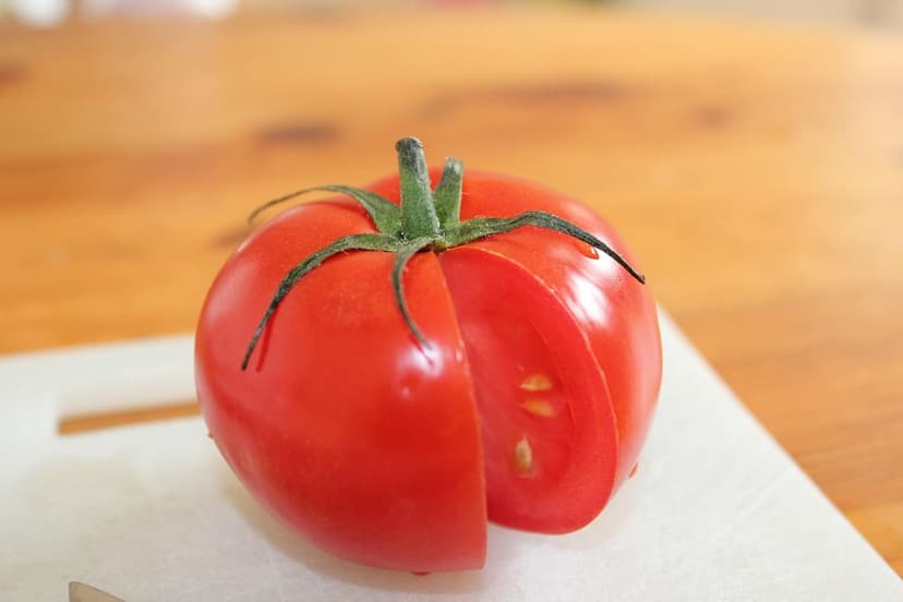 Bioestimulantes para Tomates en Colombia: Aumenta Producción