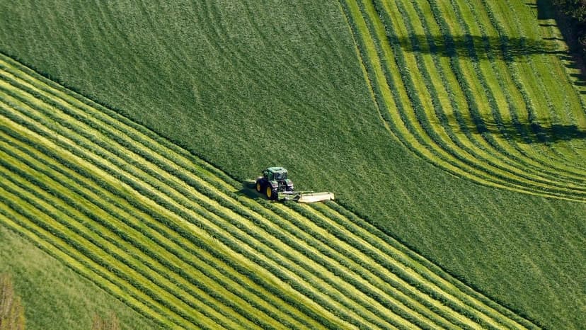 El Futuro de los Fertilizantes: Tendencias Globales de la Biofertiliza