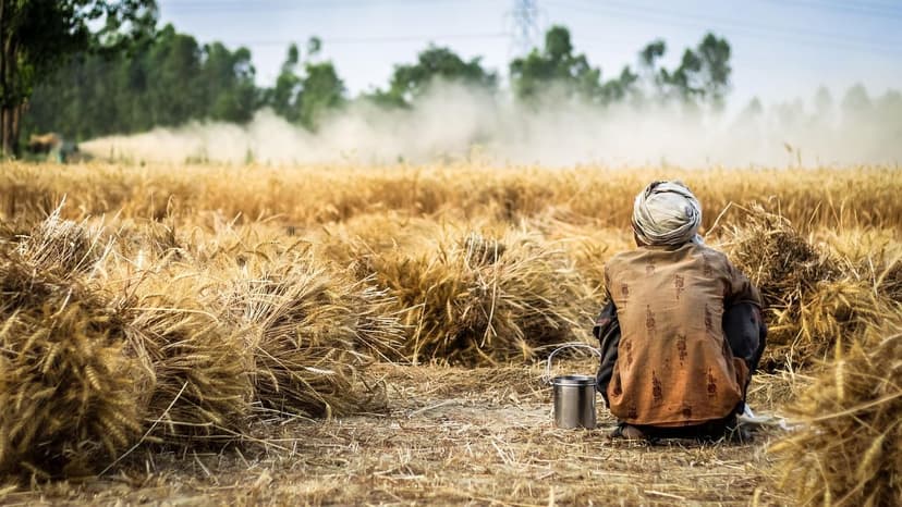 ECOGANIC NANOTECHNOLOGIE bei Reis in Vietnam: +16 % Produktion im trop