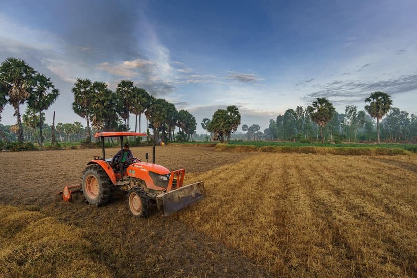 Soil microorganisms: improve fertility