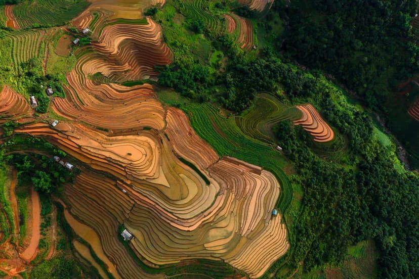 Soluções Agrícolas: Um Caminho para a Sustentabilidade