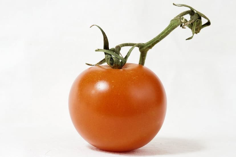 Strategie per aumentare la produzione di pomodoro in Colombia