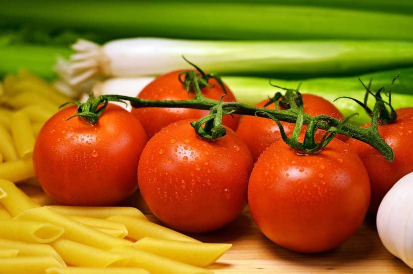 Biostimulants et croissance racinaire de la tomate