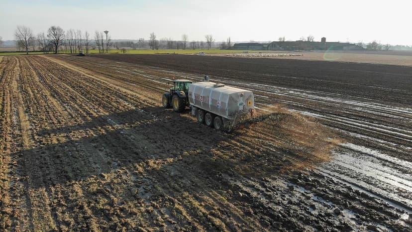 Fertilizzazione Azotata negli Spinaci: Dose e Momento